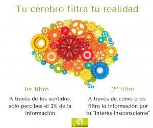 tu cerebro filtra la realidad